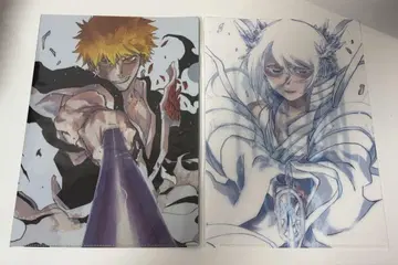 BLEACH EX. 클리어 파일 쿠로사키 이치고 후목 루키아