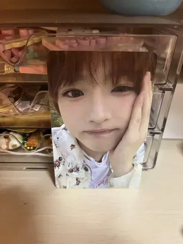 nctwish 사쿠야 color 트레이딩 카드