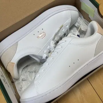 여성용 CARNABY SET 224 5 SFA