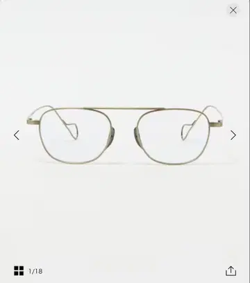 BuddyOptical gis