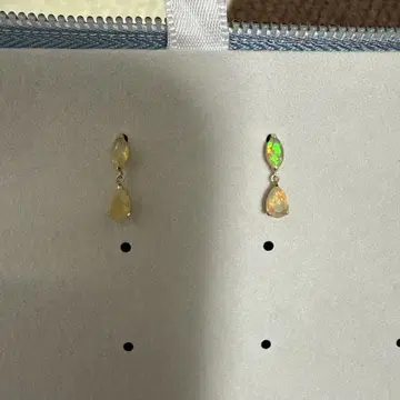 레이지 수잔 드롭 귀걸이