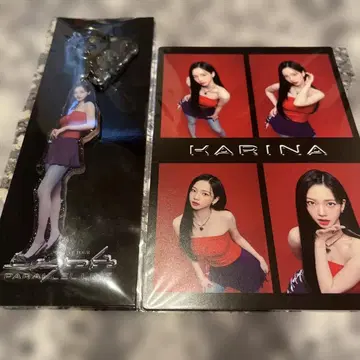 KARINA 키링 포토 카드 세트