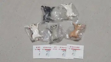 고양이 펜꽂이 5마리 세트