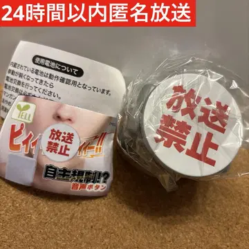 자율 규제 방송 금지 패턴 B 방송 금지