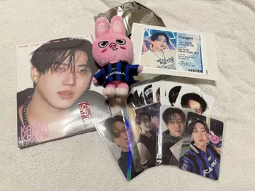 straykids karmaskzoo ver. 돼끼 찬빈 트레이딩 카드