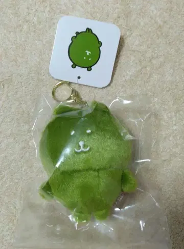나가노 캐릭터 컬러 나가노의 곰 마스코트 말차