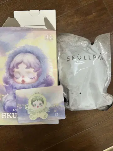 SKULLPANDA 스컬팬더 popmart Pond