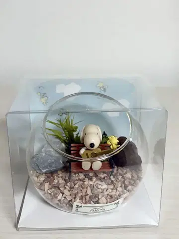 스누피 찻집 이끼 테라리움 소 미개봉 새상품 스누피
