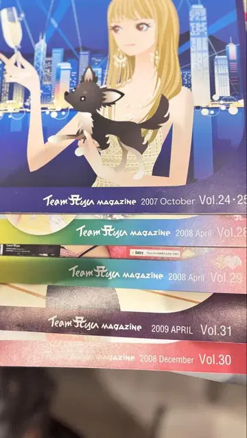 Team Ayu 하마사키 아유미 팬클럽 magazine 세트