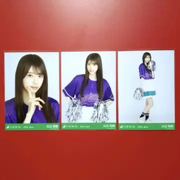 노기자카46 브로마이드 야타 모에카 베이스볼 셔츠 2025 컴프