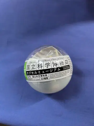 국립과학박물관 아키타견 하치 카이요도 캡슐뮤지엄