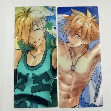 FGO 최종 재림전 편성 화면풍 카드 로빈 후드 2종