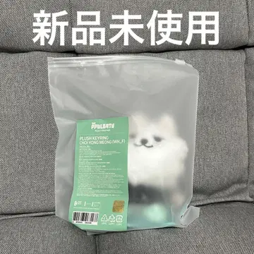 새상품 TXT 뿔바투 용몬 키링