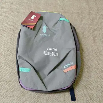 cotopaxi 그레이 백팩 20L