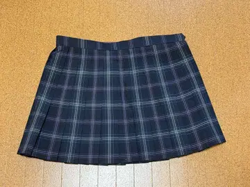 아스카 미라이 플리츠 스커트
