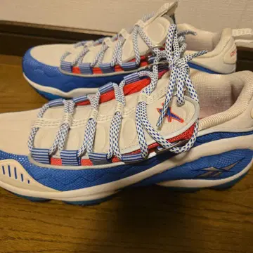 Reebok DMX
