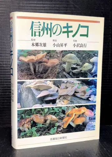 신슈의 버섯