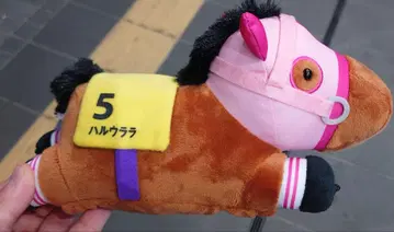 서러브레드 컬렉션 하루 우라라 봉제 인형 스마트폰 숄더 택 포함