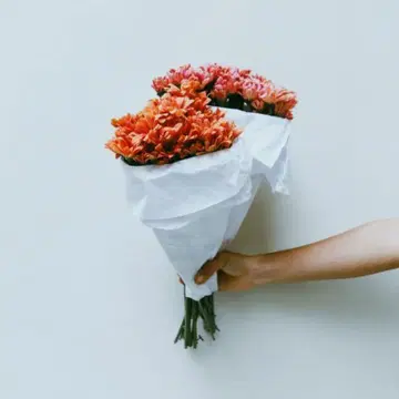 모치님