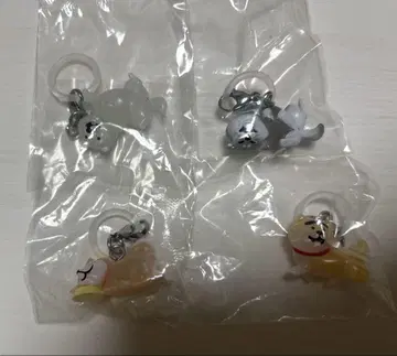 시바견 마킹 액세서리 4점 세트