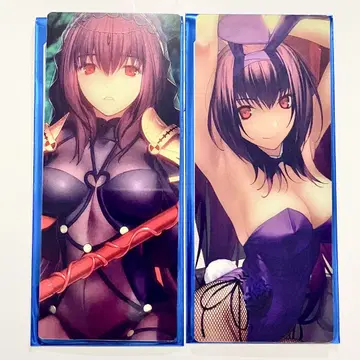 FGO 최종 재림전 편성 화면풍 카드 스카사하 2종