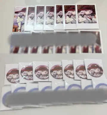 사로메 양 니지산지 캔뱃지 폴라로이드