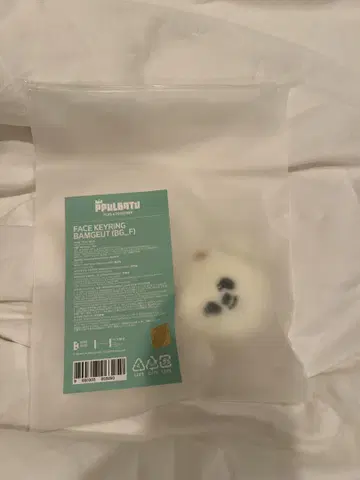 TXT PPULBATU 뿔바투 밤굿 범규 페이스 키링