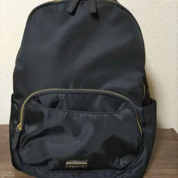 아네스베/백팩
