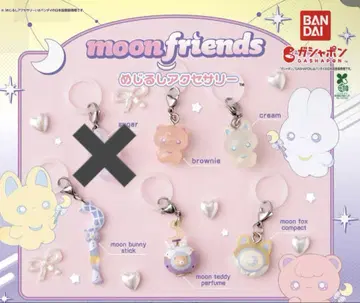 moon friends 메지루시 액세서리 5개 세트