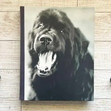 Bruce Weber 블루스 GENTLE GIANTS