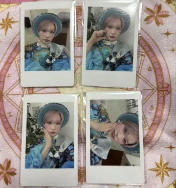 팬더 드래곤 하피카 타이거