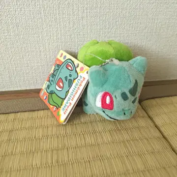 이상해씨 pokemon petit