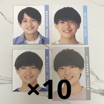 와타나베 타이 가 데이터 카드 40장