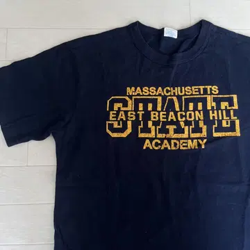 champion 영문 로고 T셔츠 Massachusetts 매사추세츠