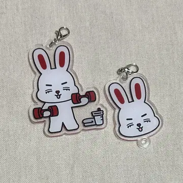 SEVENTEEN miniteen DIY 키체인 에스쿱스