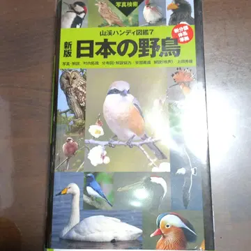 일본의 야생 조류 사진 검색