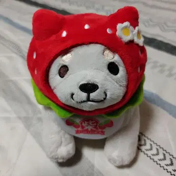 후쿠오카 한정판 충견 모치시바 봉제 인형 S