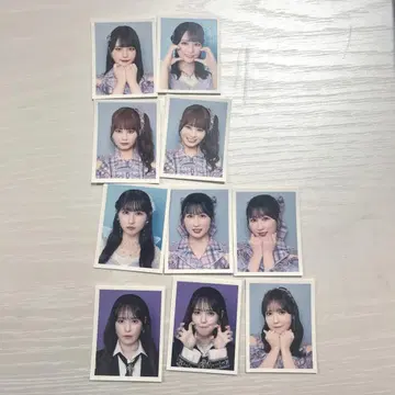 =LOVE 이코러브 ID PHOTO 묶음 판매