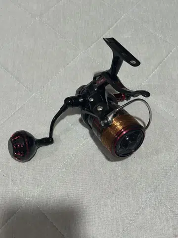 다이와 19 시그너스 3000 LBD