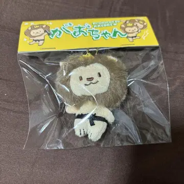 타케치 카이세이 멘프로 가오짱