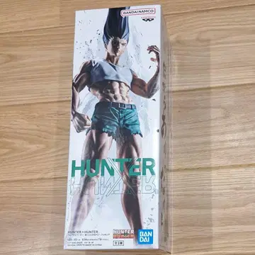 HUNTER x HUNTER 피그라이프 곤: 전부 다 펜-곤 씨