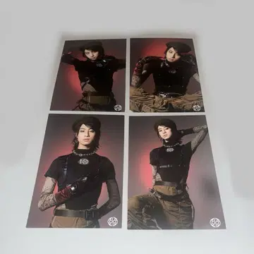 용궁성 Ray 브로마이드 SHORYU 4장 세트