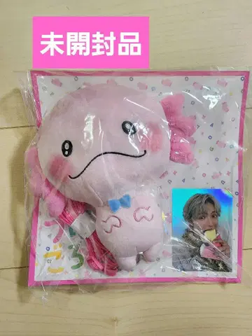 사토 타이키 우파고로 패스 케이스