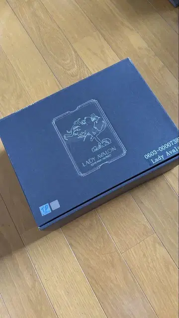 히가타 이시 레이디 아발론 레진 키트