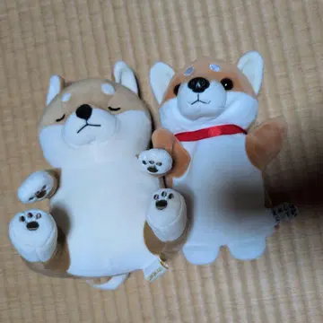 강아지 봉제 인형 세트 마메시바 시바견