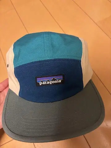 patagonia 패널 디자인 캡