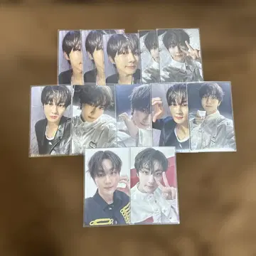 ENHYPEN 정원 결 트레이딩 카드 12장