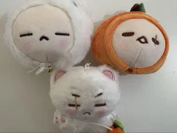 suga 윤기 agustd 마스터 봉제 인형 마스코트 화이트 고양이 귤