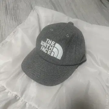 THE NORTH FACE 펠트 캡