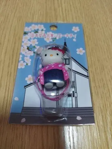 일본여자대학 헬로키티